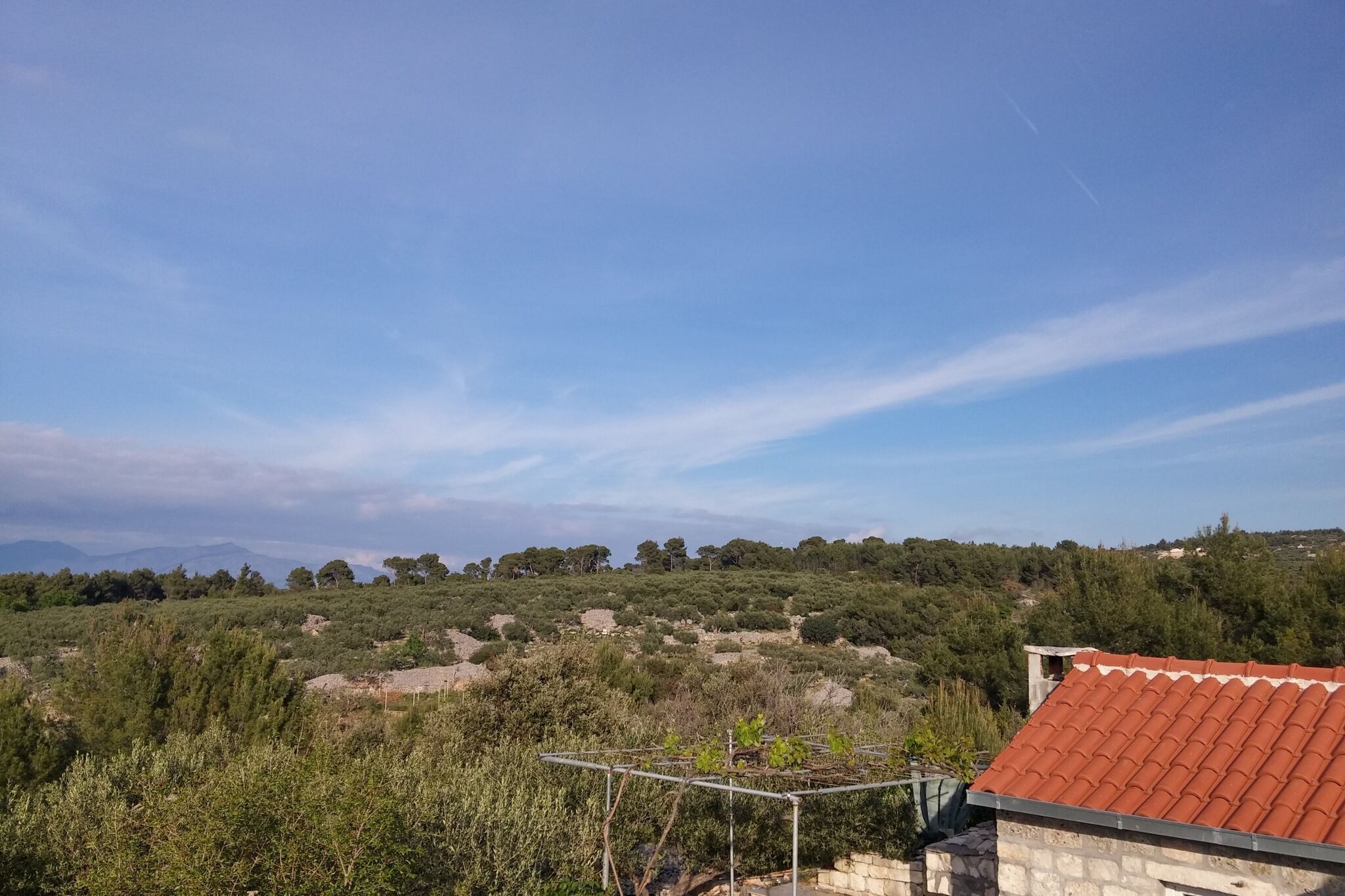 Een landelijk landschap met een stenen gebouw en een dak met rode dakpannen, omringd door dichte begroeiing en bomen.