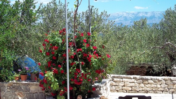 Un muro de piedra con una planta en maceta y una mesa con un cuenco.