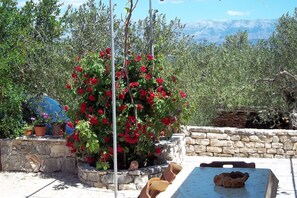 Sit and enjoy the serene mountain views from this outdoor seating area, surrounded by lush greenery and vibrant flowers.