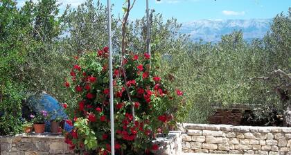 Holiday Home in Mirca with terrace