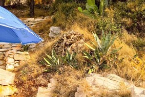 Property grounds - Seafront Apartment Dana - Two Bedroom Apartment with Terrace and Sea View (Vela Luka)