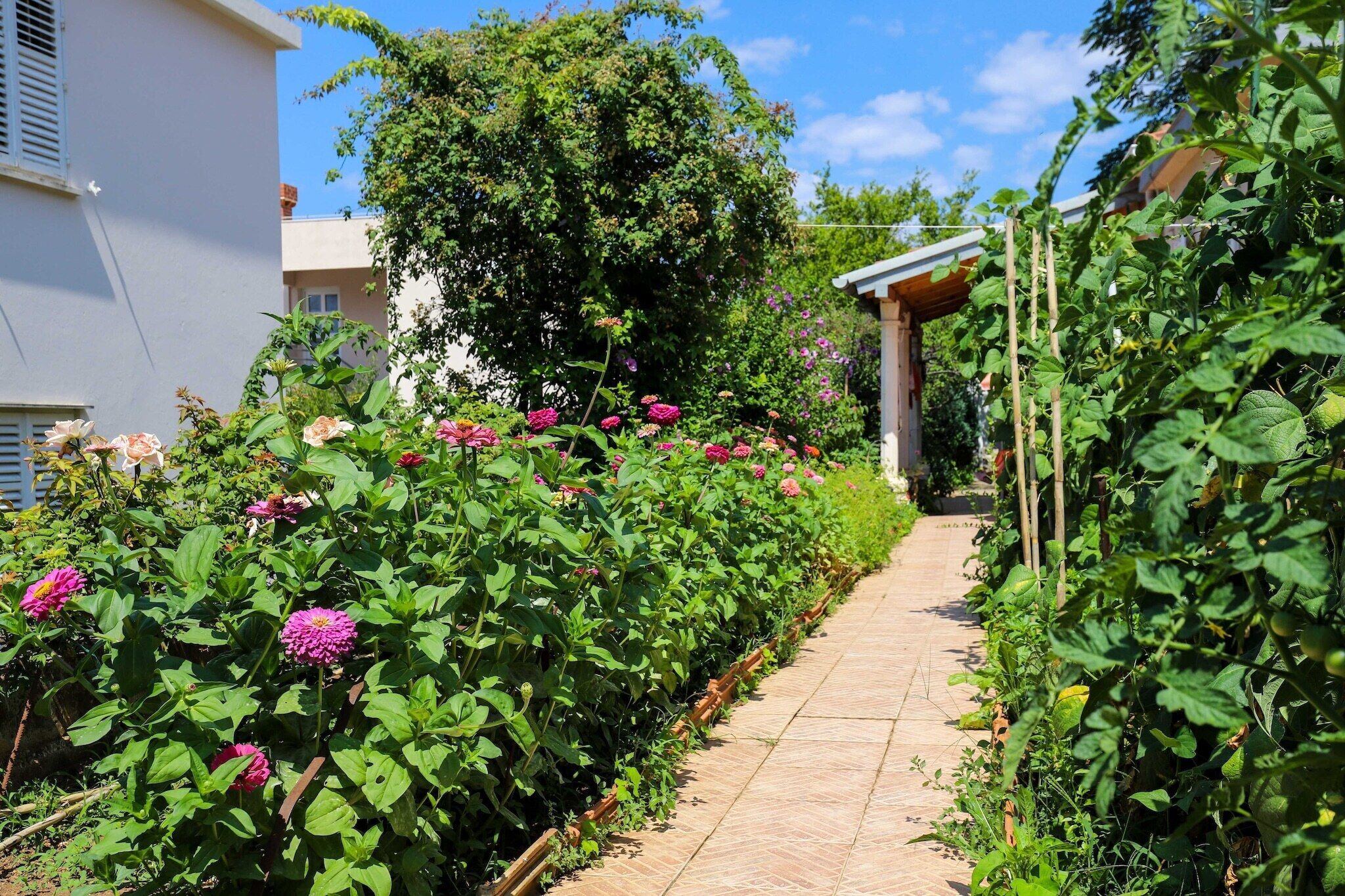 Um caminho no jardim ladeado por diversas plantas floridas e uma estrutura de pérgola de madeira.