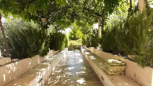 A pathway lined with trees and a lamp post, leading to a distant structure. - 1 bedroom apartment with terrace (Orebic)
