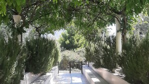 A pathway lined with trees and a gate, leading to a building. - 1 bedroom apartment with terrace (Orebic)