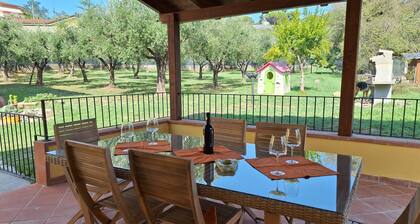 Conca Oro New House on Hill between Lucca and the sea with pool and large porch