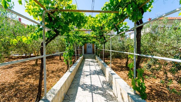 A vineyard pathway with rows of grapevines and a stone-tiled walkway. - Apartments Ivana (TR) -Studio with Terrace ( A2) (Trogir)