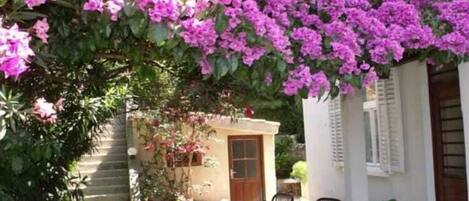 屋外ダイニングエリア