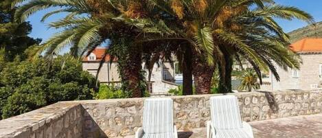 テラス / パティオ