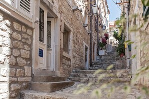 Experience the charm of a traditional European town, where narrow streets and historic architecture come alive.