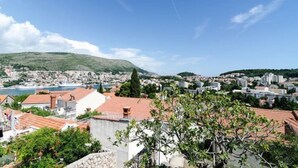 A coastal cityscape with buildings, a hill, and a body of water.