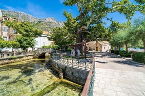 Enceinte de l’hébergement