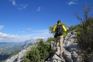 A person hiking on a rocky path with a backpack, surrounded by greenery and mountains in the background.