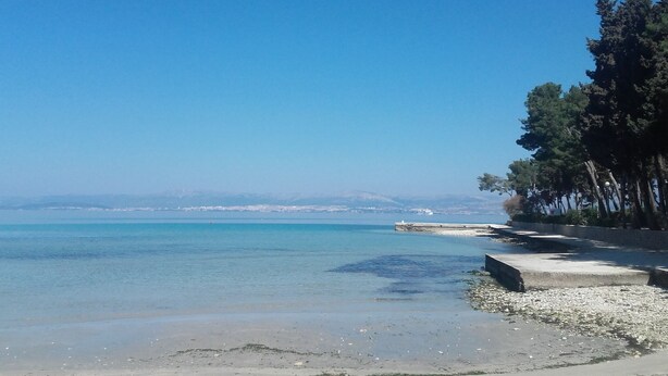 Ein Strand mit klarem, blauem Wasser, sandigem Ufer und einer Baumreihe.