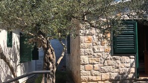 Ein schmaler Steinweg, gesäumt von einem Baum und einem Gebäude mit grünen Fensterläden.