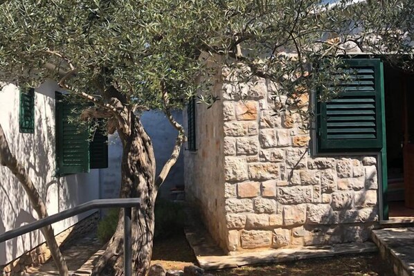 A narrow stone pathway flanked by a tree and a building with green shutters.