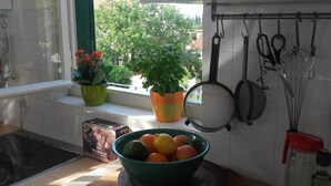Eine Küche mit Fenster, Obstschale, einer Zimmerpflanze und Küchenutensilien.