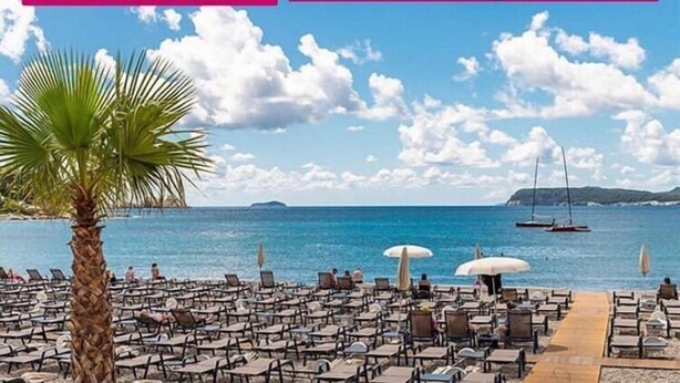 A beachside setting with rows of sun loungers and umbrellas, a palm tree, and a view of the sea and distant islands.