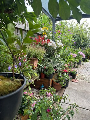 Terrein van de accommodatie