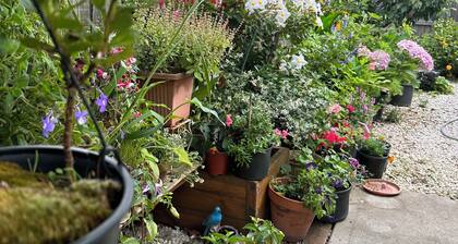 Quiet Comfort for Relaxing Stays