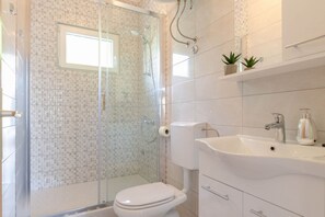 Shower, hair dryer