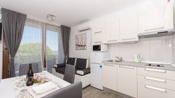 Fridge, microwave, stovetop, electric kettle