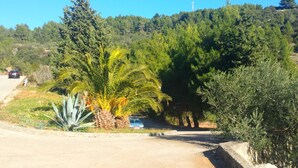 Una carretera con una palmera y un coche aparcado al borde.