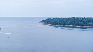 Eine Küstenlandschaft mit einer kleinen, dicht bewachsenen Insel und ruhiger See.