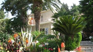 A garden with various plants and flowers, a palm tree, and a building with a balcony in the background.