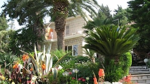 Un giardino con diverse piante e fiori, una palma e un edificio con un balcone sullo sfondo.