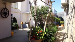 A narrow alleyway with potted plants and a tree trunk. - Apartment Marita - One Bedroom Apartment with Balcony (Cilipi)