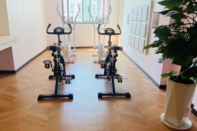 Un gimnasio con dos bicicletas estáticas, una planta en maceta y una silla de masaje fijada a la pared.