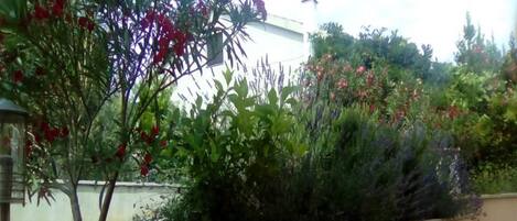 A garden with various plants and flowers, a stone wall, and a white building in the background.