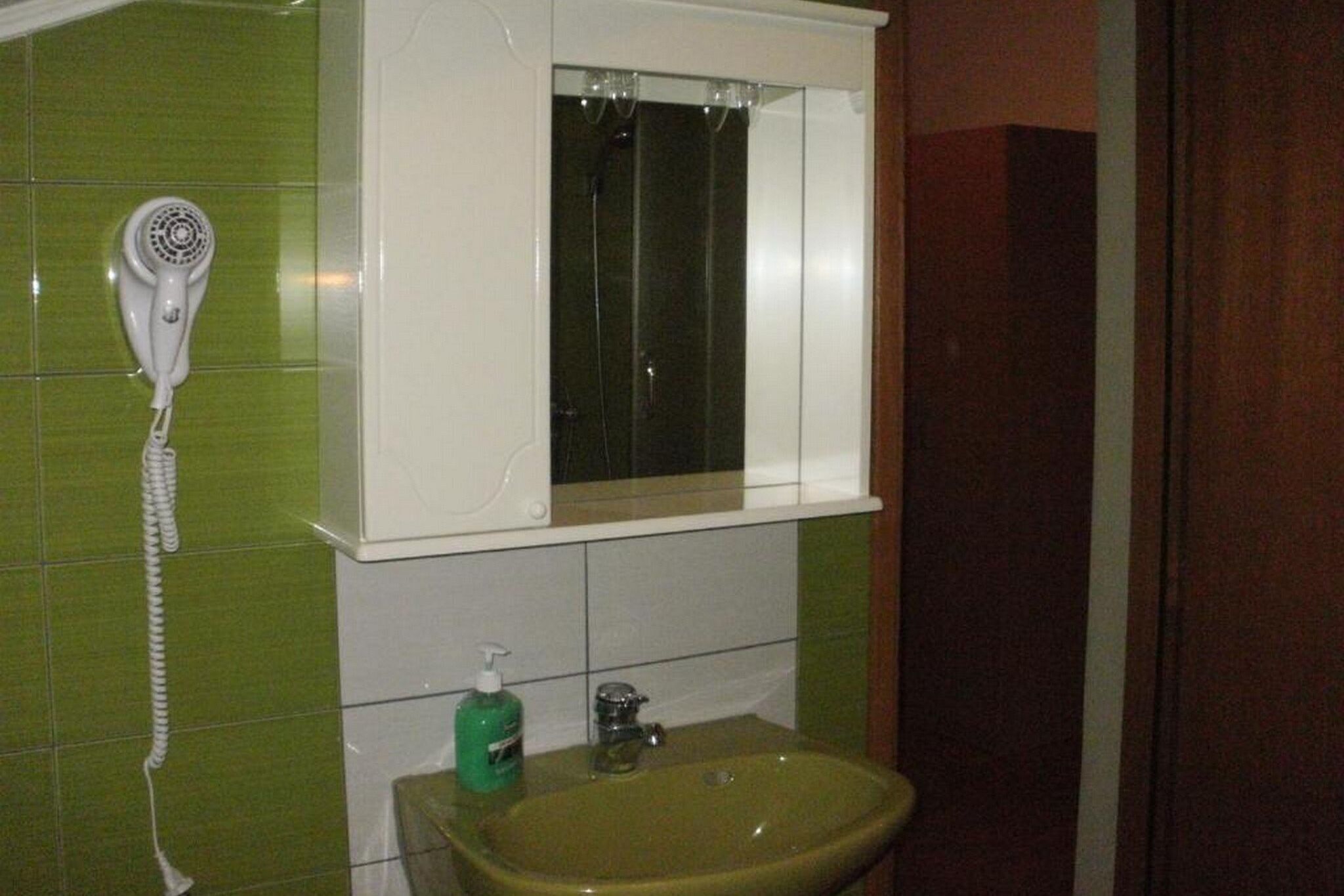 Een badkamer met een muur betegeld in het groen, een witte wastafel en een groene handzeepfles, en een witte haardroger bevestigd aan de muur.