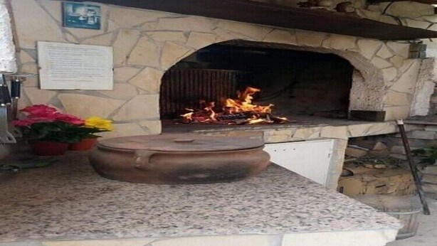 A stone fireplace with a fire burning inside, a stone wall with a plaque, and a potted plant with flowers.