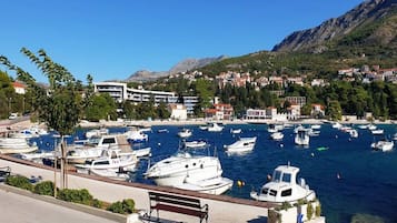 A marina with numerous boats docked, a bench, and buildings in the background.