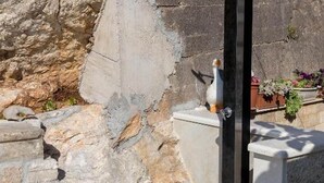 Una pared de piedra con una figurita de pájaro en un repisa.