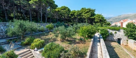 A stone pathway leading through a garden with various plants and trees, and a view of buildings in the distance.