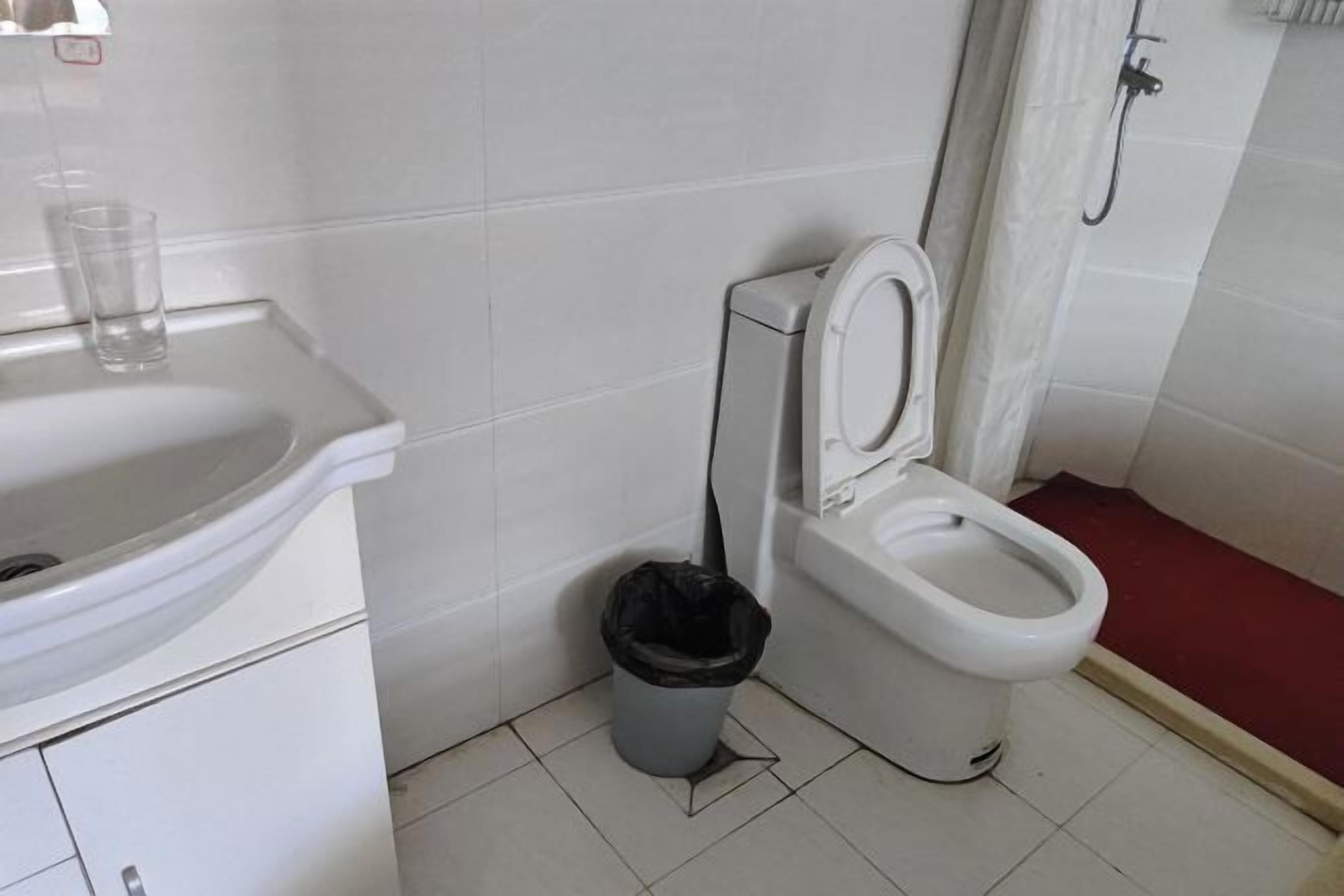 A bathroom with a white sink, a toilet, a trash bin, and a shower area.