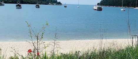 在海灘附近