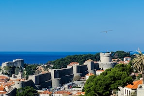 A historic cityscape with a prominent castle and coastal views.