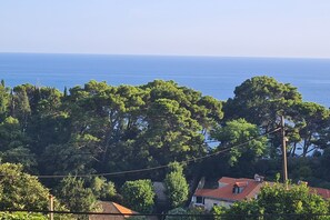Beach/ocean view