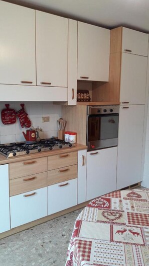 Fridge, oven, stovetop, dishwasher