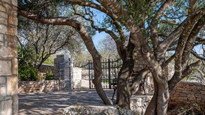 A stone building with a large tree in the foreground, a metal gate, and a stone wall in the background.