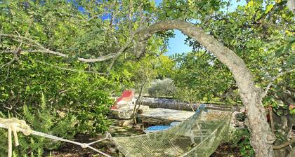 Stone House Oreb's Cottage - Two Bedroom Stone House with Terrace and Garden View