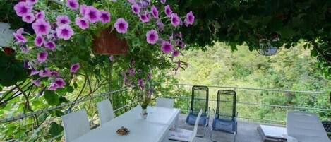 Servei de restauració a l'aire lliure