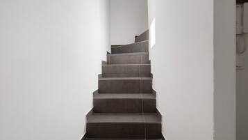 A staircase with a modern design, leading upwards.