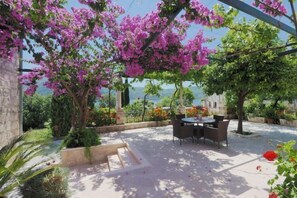 terraza