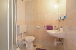 Shower, hair dryer