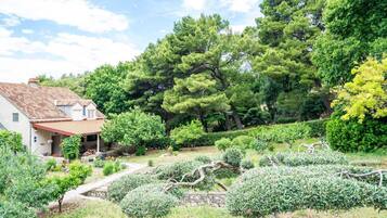 Área da propriedade