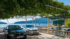 A covered parking area with two cars parked under a pergola with green foliage.